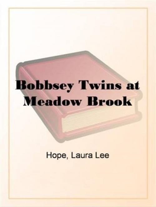 Cover of the book The Bobbsey Twins At Meadow Brook by Laura Lee Hope, Gutenberg