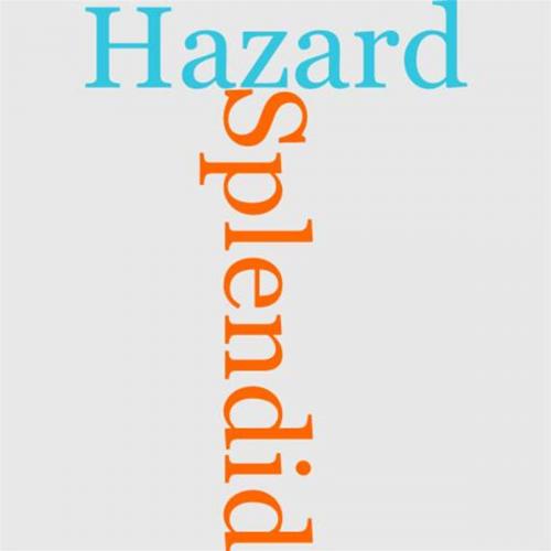 Cover of the book A Splendid Hazard by Harold MacGrath, Gutenberg