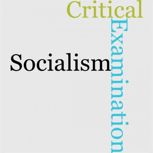 Cover of the book A Critical Examination Of Socialism by William Hurrell Mallock, Gutenberg