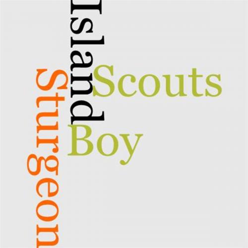 Cover of the book The, Boy Scouts On Sturgeon Island by Herbert Carter, Gutenberg