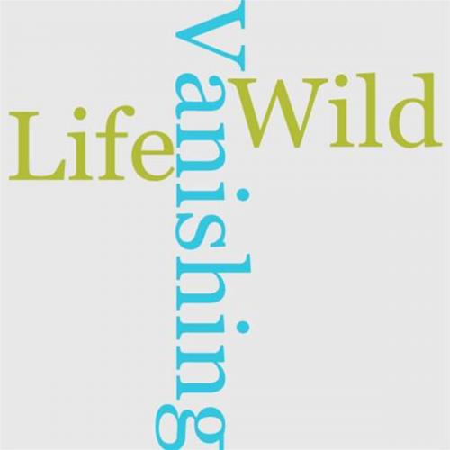 Cover of the book Our Vanishing Wild Life by William T. Hornaday, Gutenberg