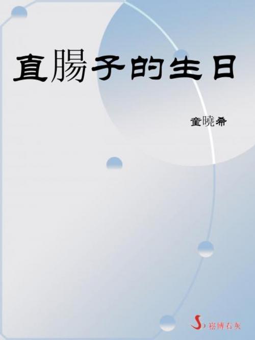 Cover of the book 直腸子的生日 by 童曉希, 崧博出版事業有限公司