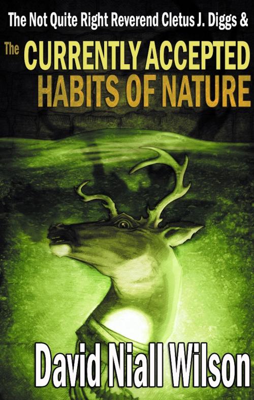 Cover of the book The Not Quite Right Reverend Cletus J. Diggs & The Currently Accepted Habits of Nature by David Niall Wilson, Crossroad Press
