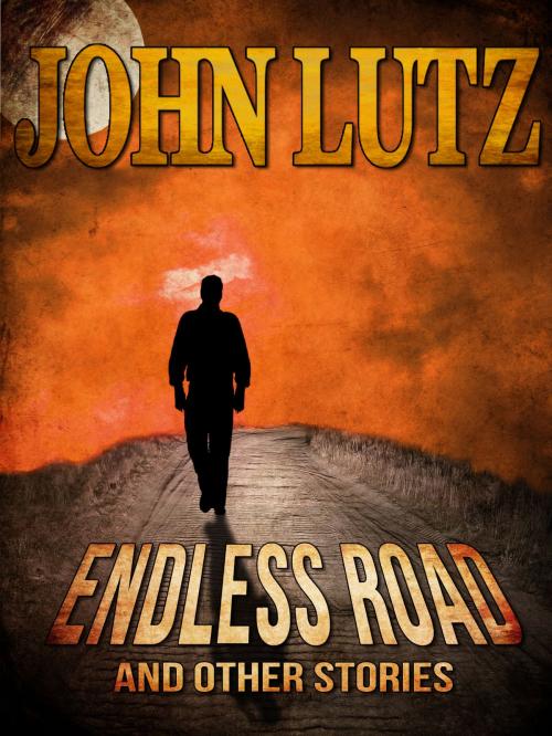 Cover of the book Endless Road and Other Stories by John Lutz, Crossroad Press