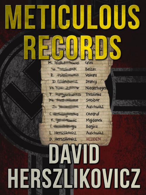 Cover of the book Meticulous Records by David Herszlikovicz, Crossroad Press
