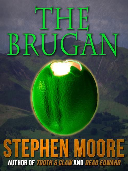 Cover of the book The Brugan by Stephen Moore, Crossroad Press