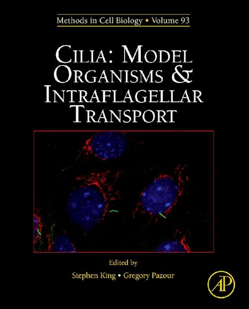 Cover of the book Cilia: Model Organisms and Intraflagellar Transport by Stephen M. King, Gregory J Pazour, Elsevier Science