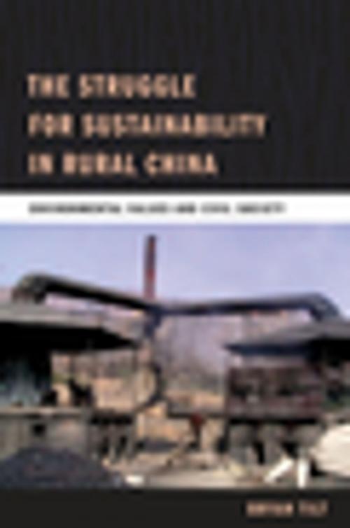 Cover of the book The Struggle for Sustainability in Rural China by Bryan Tilt, Columbia University Press