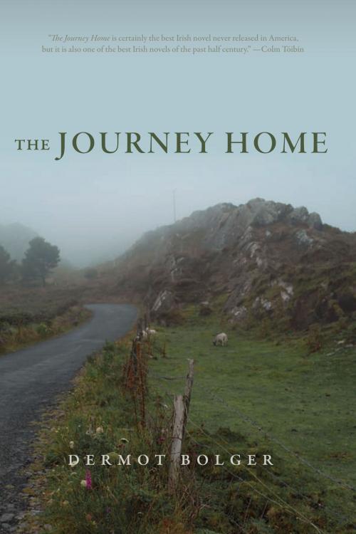Cover of the book The Journey Home by Dermot Bolger, University of Texas Press