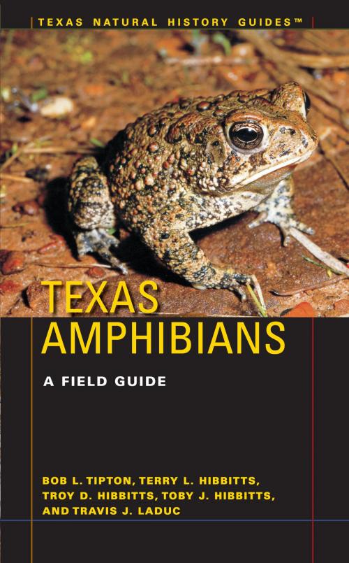 Cover of the book Texas Amphibians by Bob L. Tipton, Terry L. Hibbitts, Troy D. Hibbitts, Toby J. Hibbitts, Travis J. LaDuc, University of Texas Press