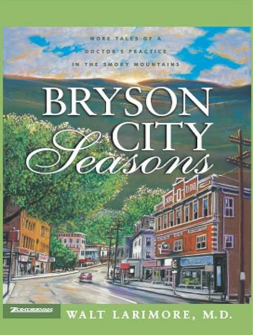 Cover of the book Bryson City Seasons by Walt Larimore, MD, Zondervan