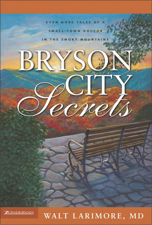 Cover of the book Bryson City Secrets by Walt Larimore, MD, Zondervan