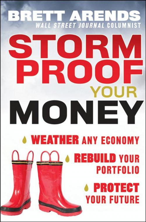 Cover of the book Storm Proof Your Money by Brett Arends, Wiley