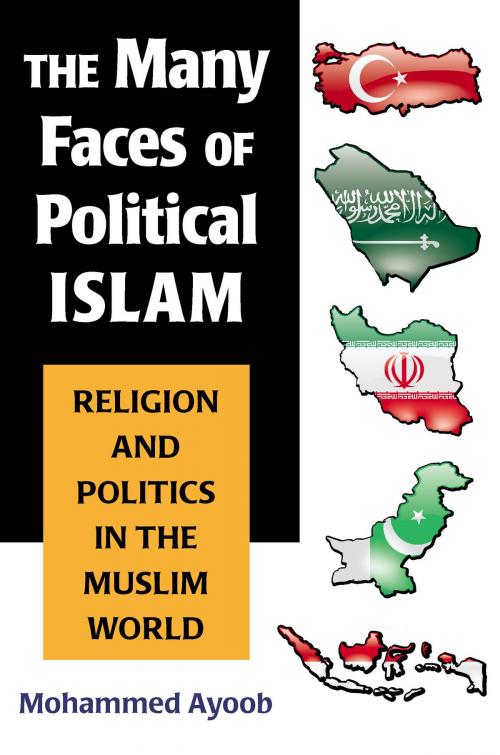 Cover of the book The Many Faces of Political Islam by Mohammed Ayoob, University of Michigan Press