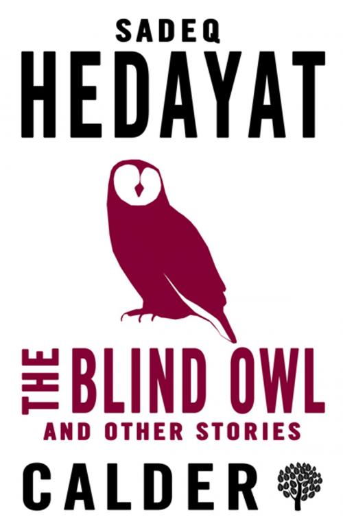 Cover of the book The Blind Owl and Other Stories by Alma Books, Alma Books