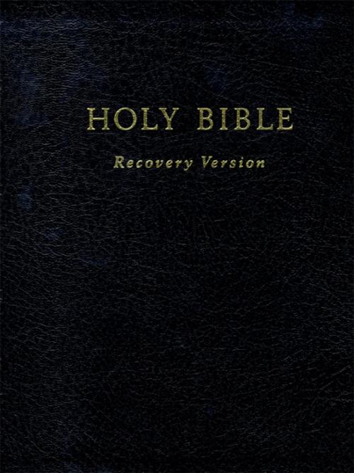 Cover of the book Text Only Holy Bible Recovery Version by , Living Stream Ministry