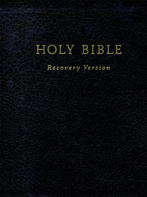 Cover of the book Holy Bible Recovery Version by , Living Stream Ministry