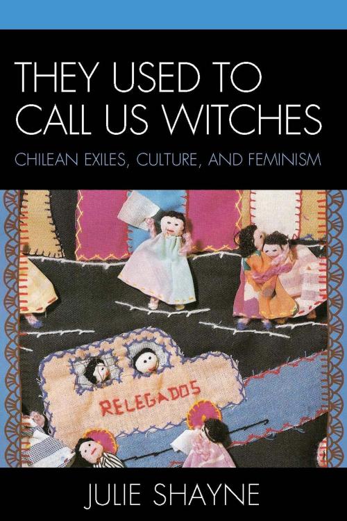 Cover of the book They Used to Call Us Witches by Julie Shayne, Lexington Books