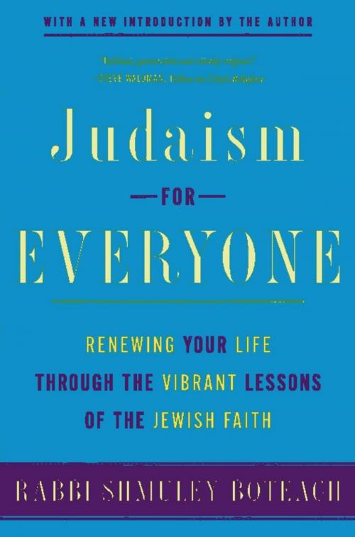 Cover of the book Judaism for Everyone by Shmuley Boteach, Basic Books