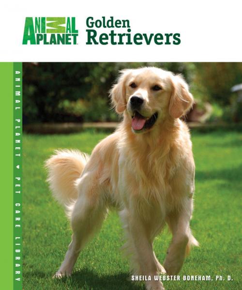 Cover of the book Golden Retrievers by Sheila Webster Boneham, TFH Publications, Inc.