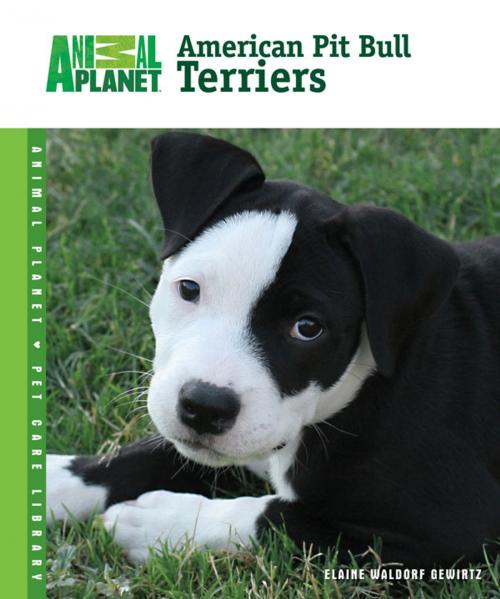 Cover of the book American Pit Bull Terriers by Elaine Waldorf Gewirtz, TFH Publications, Inc.