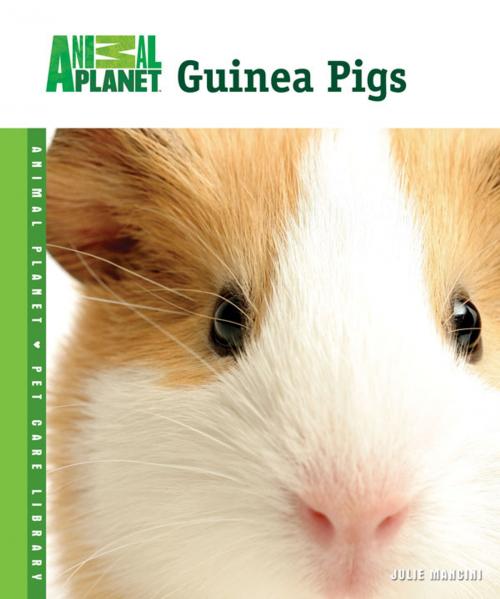 Cover of the book Guinea Pigs by Julie Mancini, TFH Publications, Inc.