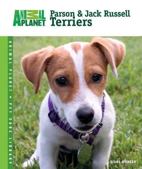 Cover of the book Parson & Jack Russell Terriers by Diane Morgan, TFH Publications, Inc.
