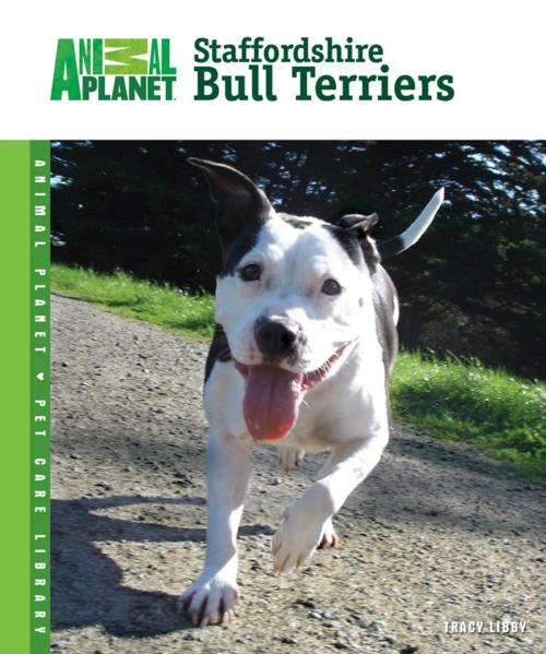 Cover of the book Staffordshire Bull Terriers by Tracy Libby, TFH Publications, Inc.