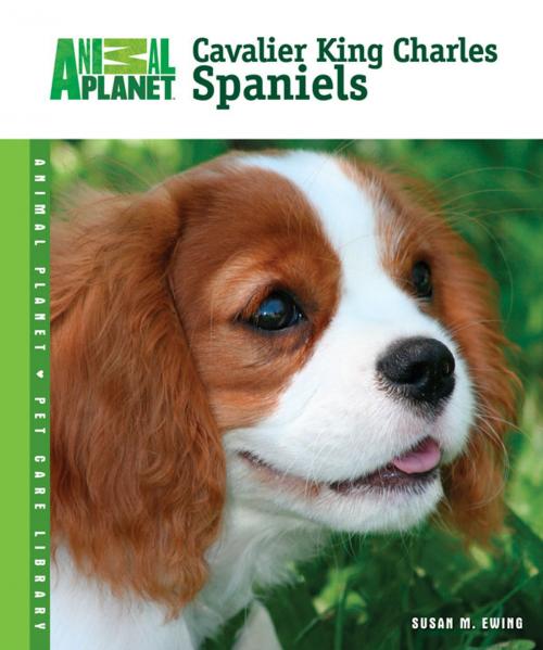 Cover of the book Cavalier King Charles Spaniels by Susan M. Ewing, TFH Publications, Inc.