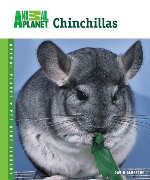 Cover of the book Chinchillas by David Alderton, TFH Publications, Inc.