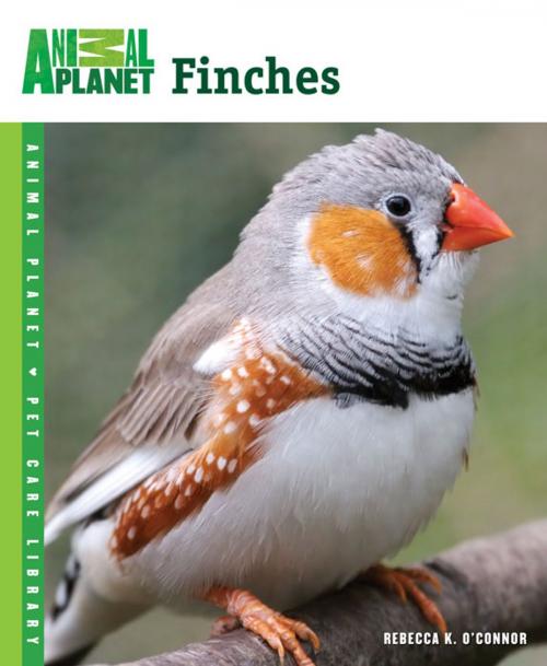 Cover of the book Finches by Rebecca K. O'Connor, TFH Publications, Inc.