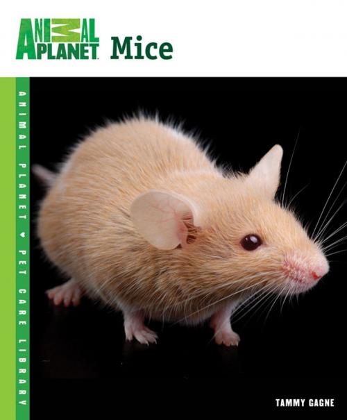Cover of the book Mice by Tammy Gagne, TFH Publications, Inc.