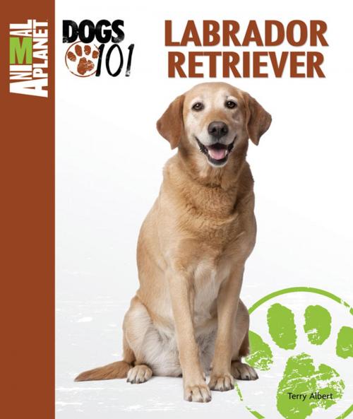 Cover of the book Labrador Retriever by Terry Albert, TFH Publications, Inc.