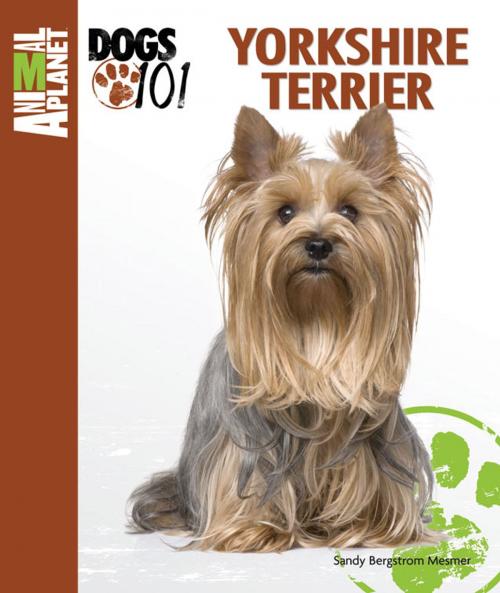 Cover of the book Yorkshire Terrier by Sandy Bergstrom Mesmer, TFH Publications, Inc.