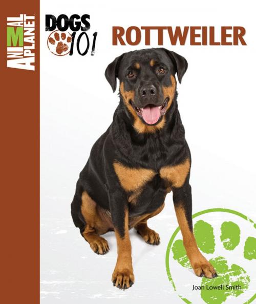 Cover of the book Rottweiler by Joan Lowell Smith, TFH Publications, Inc.