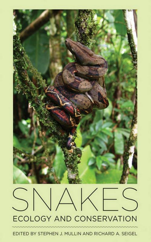 Cover of the book Snakes by , Cornell University Press