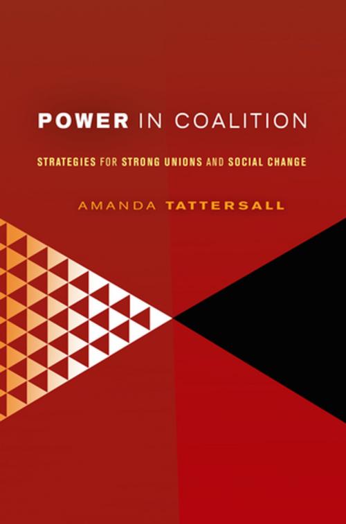 Cover of the book Power in Coalition by Amanda Tattersall, Cornell University Press