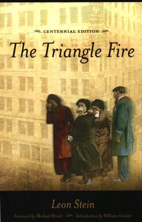 Cover of the book The Triangle Fire by Leon Stein, Cornell University Press