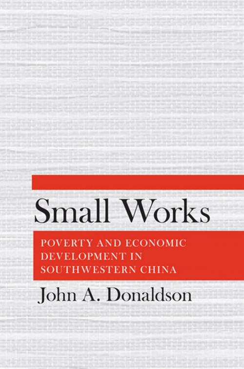 Cover of the book Small Works by John A. Donaldson, Cornell University Press