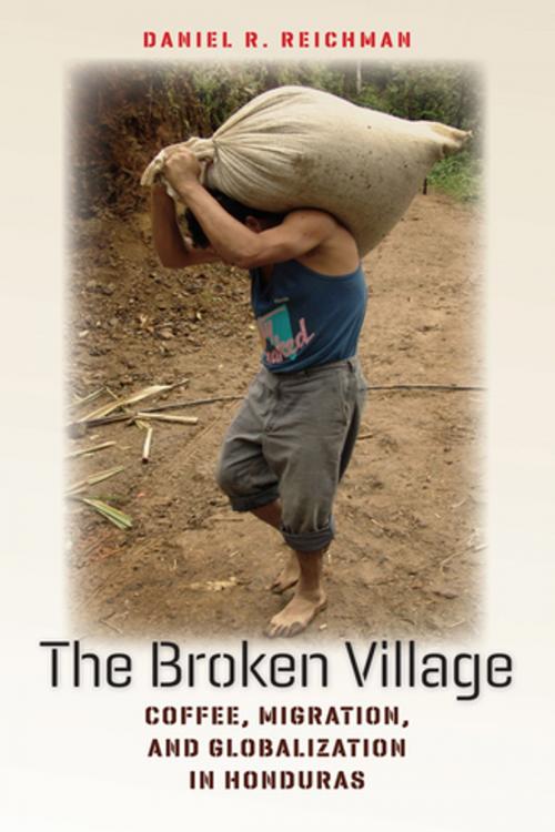 Cover of the book The Broken Village by Daniel R. Reichman, Cornell University Press