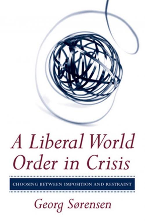 Cover of the book A Liberal World Order in Crisis by Georg Sørensen, Cornell University Press