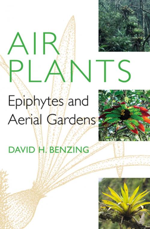 Cover of the book Air Plants by David H. Benzing, Cornell University Press