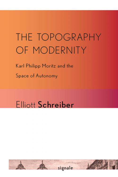 Cover of the book The Topography of Modernity by Elliott Schreiber, Cornell University Press