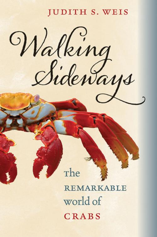 Cover of the book Walking Sideways by Judith S. Weis, Cornell University Press