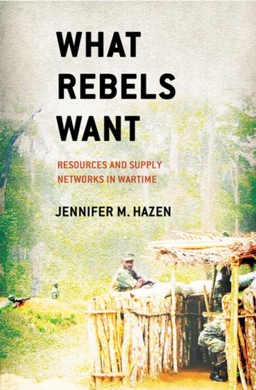 Cover of the book What Rebels Want by Jennifer M. Hazen, Cornell University Press