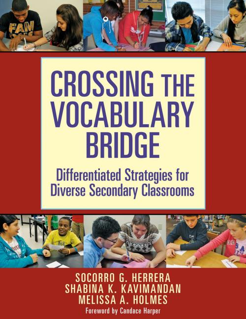Cover of the book Crossing the Vocabulary Bridge by Socorro G. Herrera, Shabina Kavimandan, Melissa Holmes, Teachers College Press