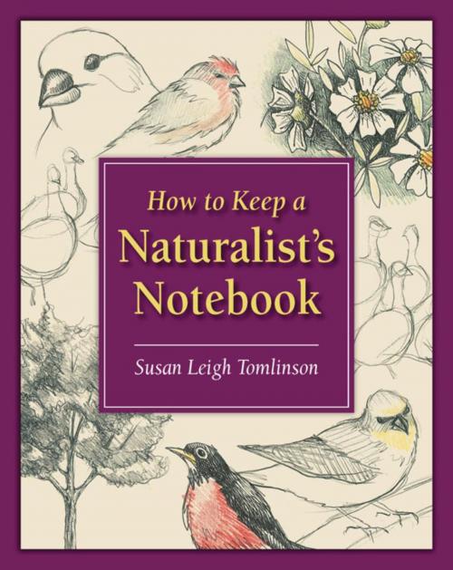 Cover of the book How to Keep a Naturalist's Notebook by Susan Leigh Tomlinson, Stackpole Books