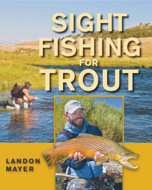 Cover of the book Sight Fishing for Trout by Landon Mayer, Stackpole Books