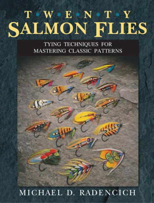 Cover of the book Twenty Salmon Flies by Michael D. Radencich, Stackpole Books