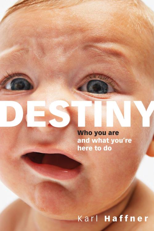 Cover of the book Destiny by Karl Haffner, Review and Herald Publishing Association
